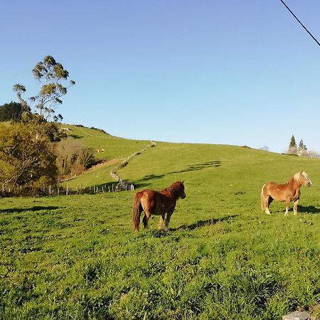 Agroturismo Pagoederraga 奥利奥 外观 照片