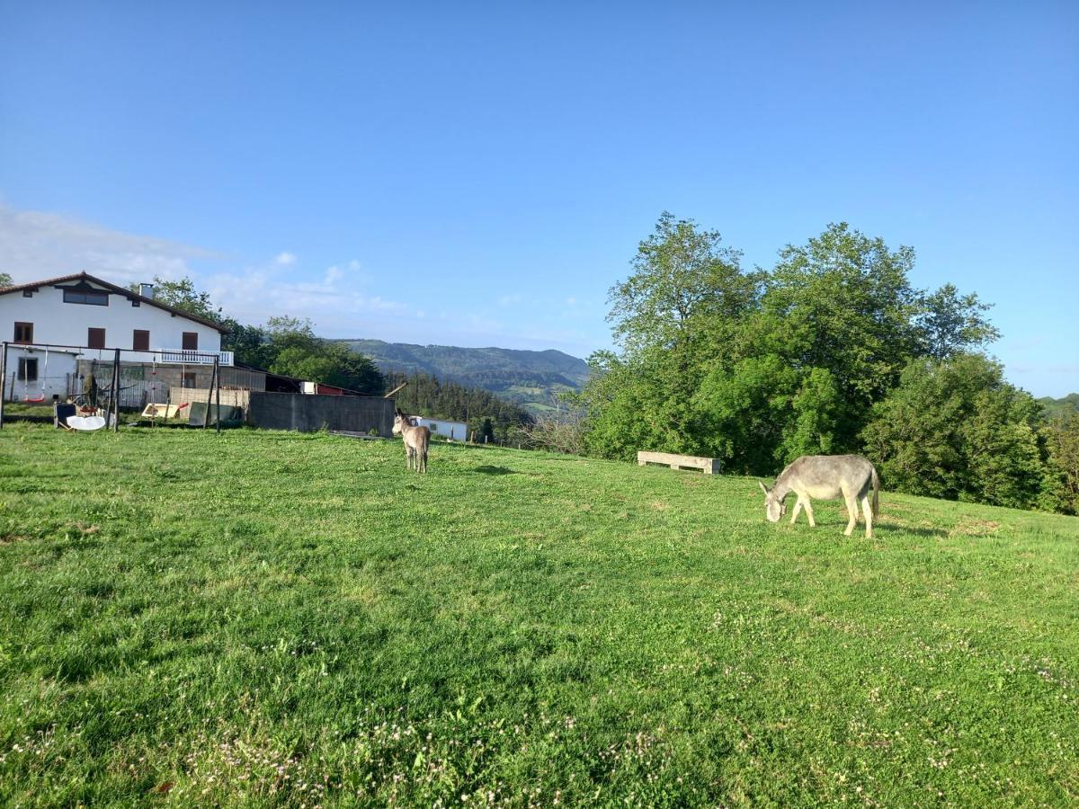 Agroturismo Pagoederraga 奥利奥 外观 照片