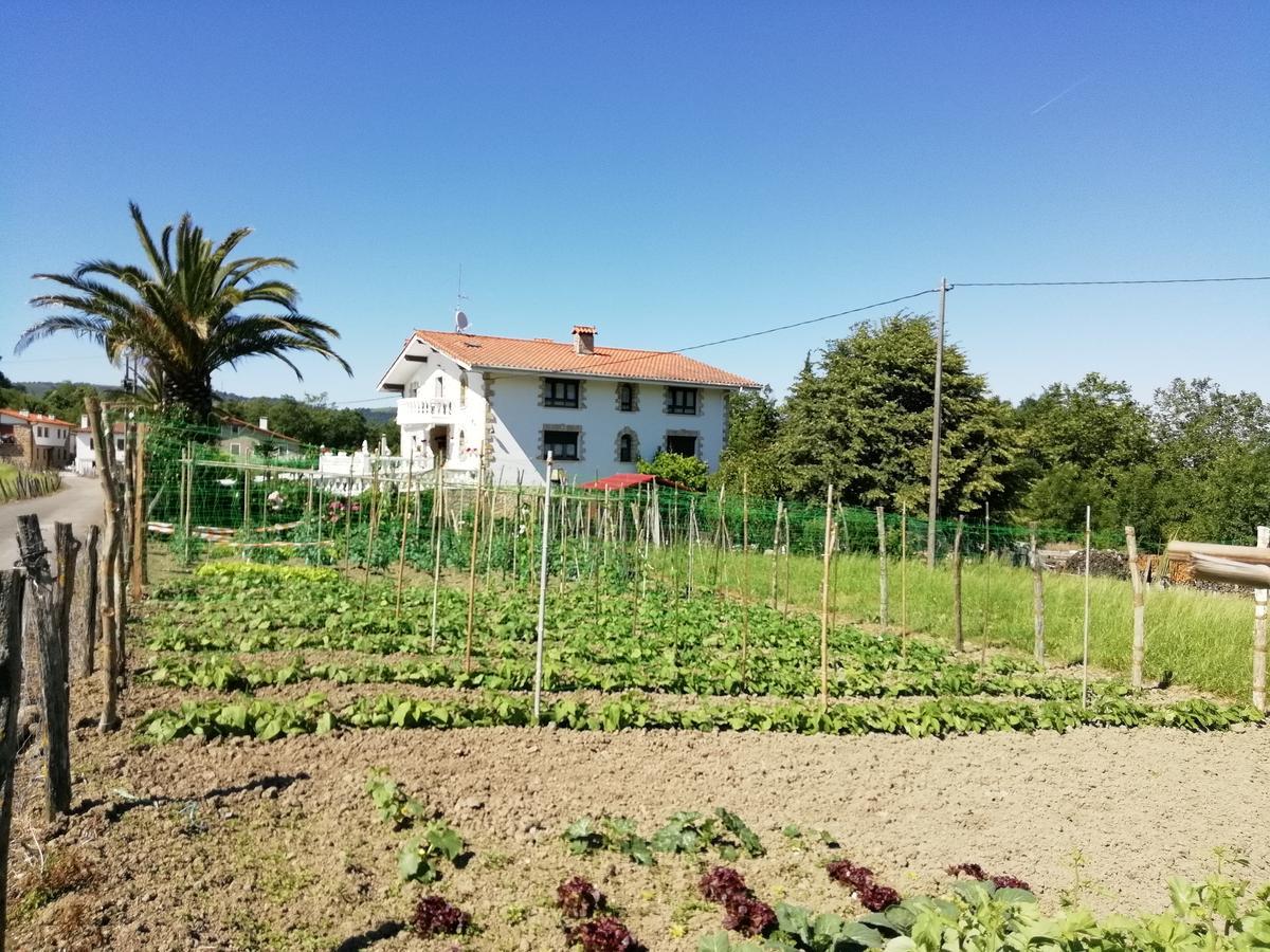 Agroturismo Pagoederraga 奥利奥 外观 照片